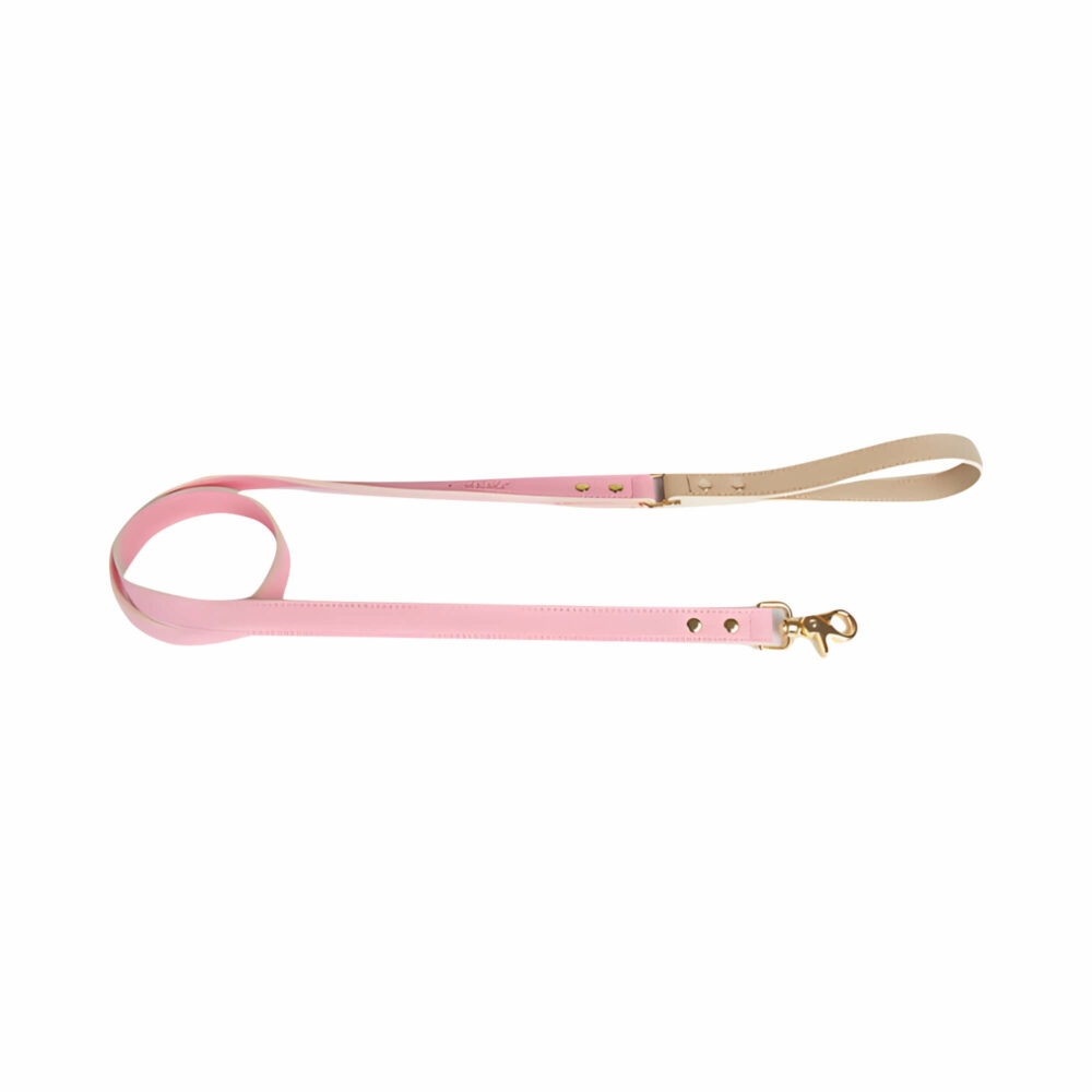 5 Foot Leather Dog Leash - Pink