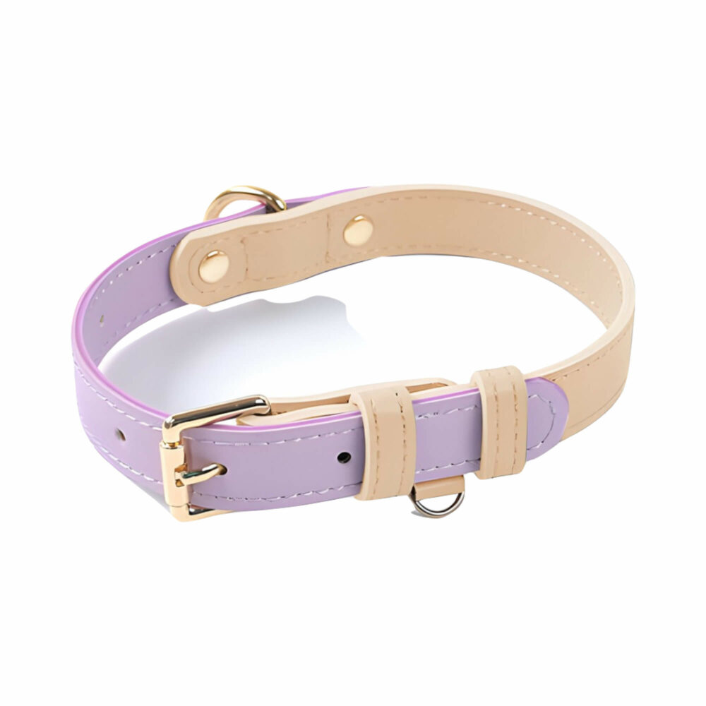 Leather Needlepoint Dog Collar - Purple