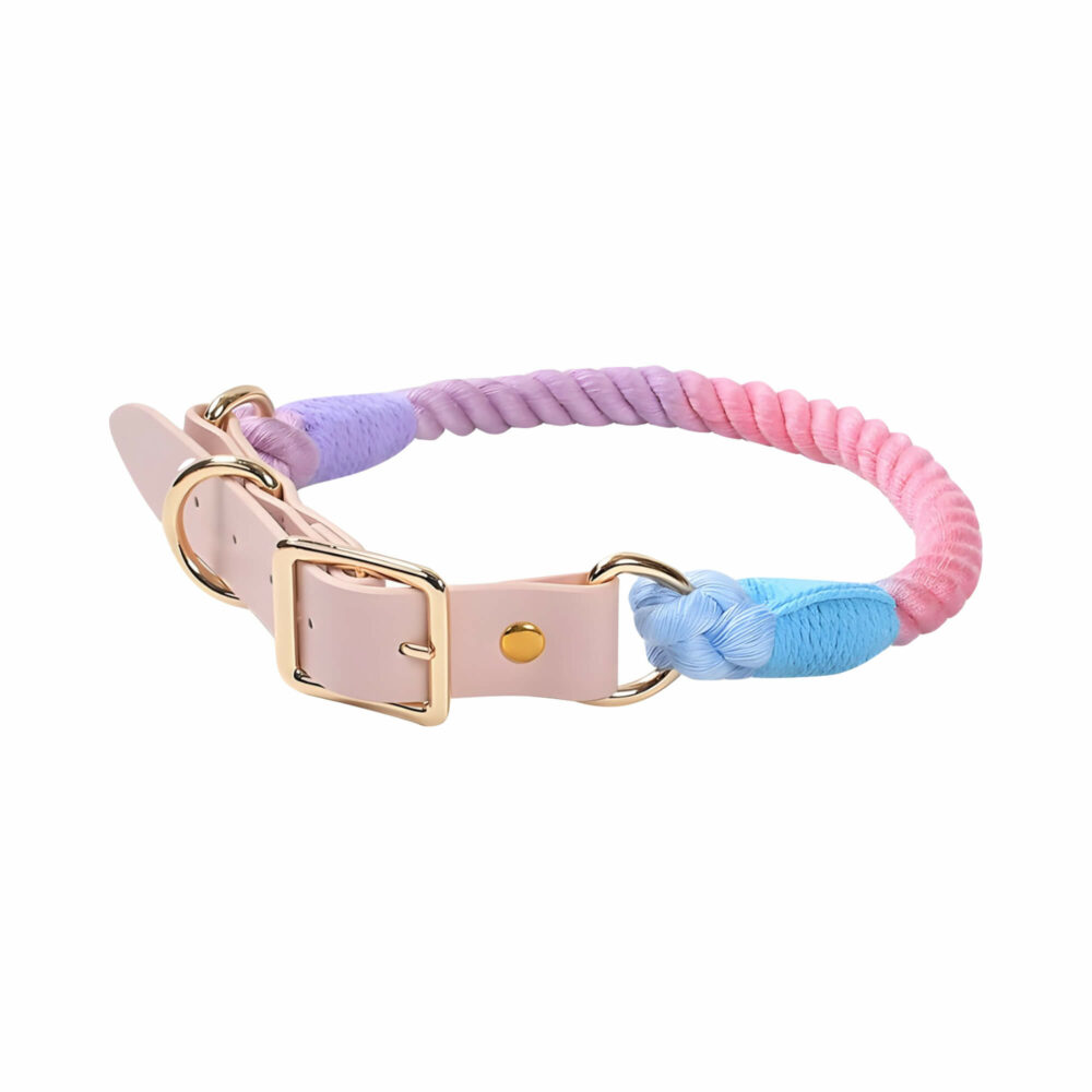 Rainbow Rope and Leather Dog Collar