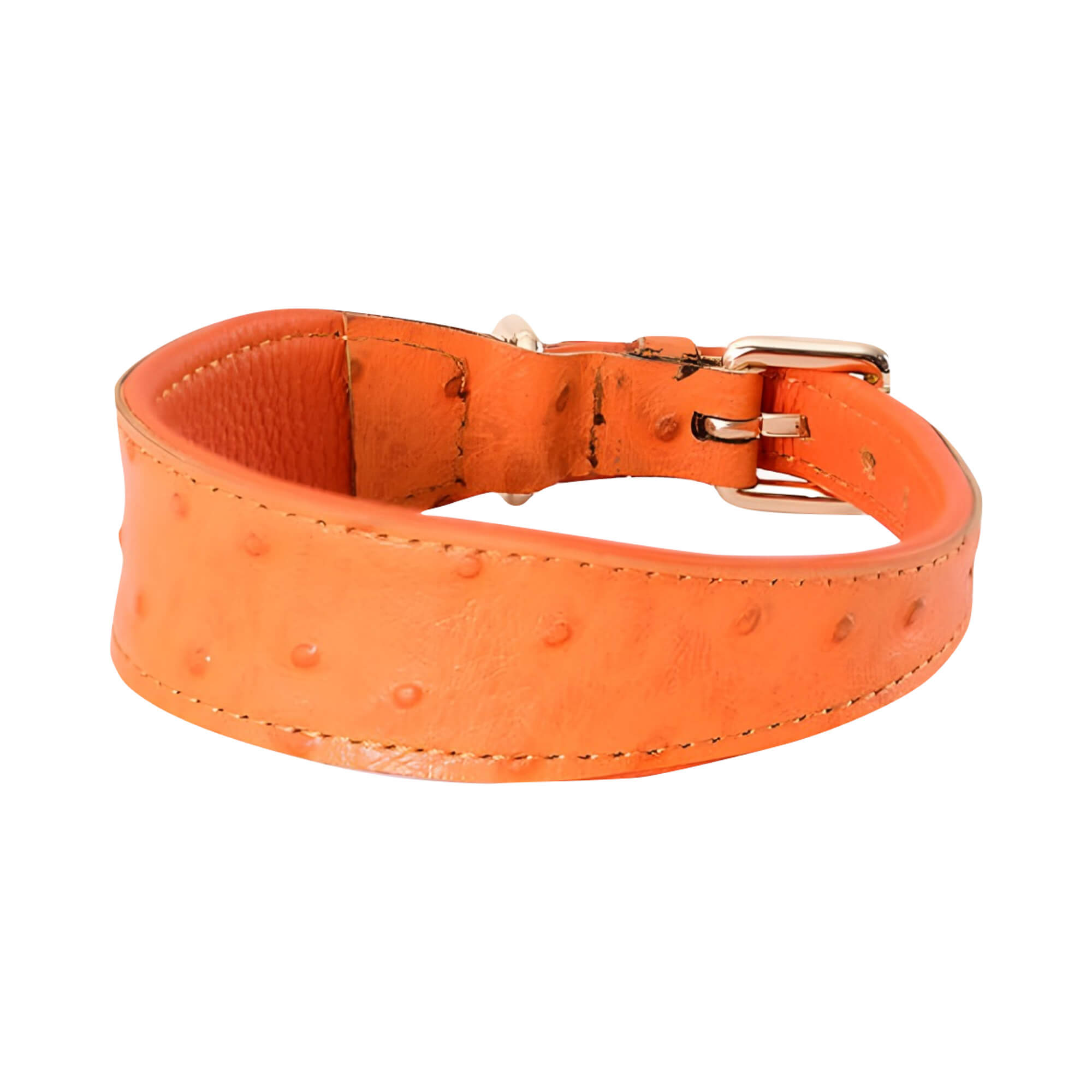 Extra Wide Dog Collar - Orange