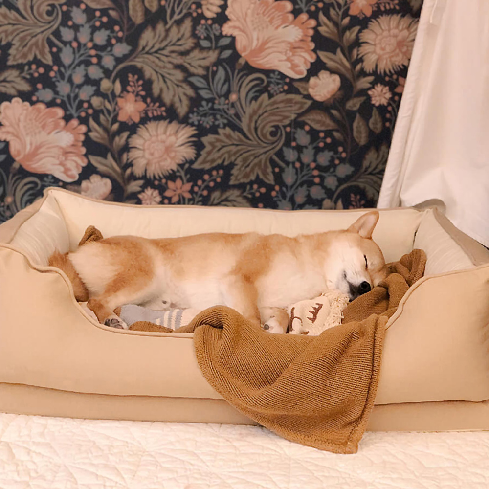 Rectangular Orthopedic Dog Bed