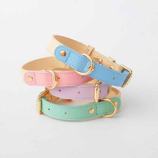 macaron-colors-dog-collars-stacked