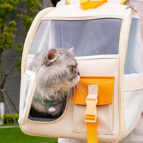 Creamy Mimosa Cat Carrier Backpack