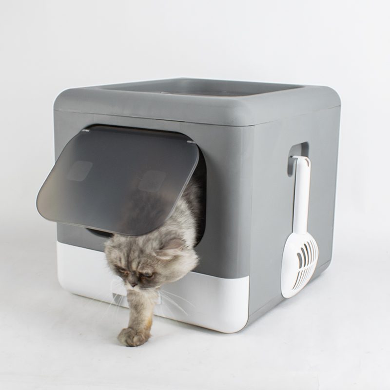 cat stepping out of cube litter box from front exit