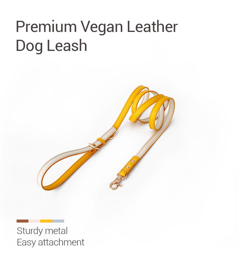vegan leather leash 1 Pettsup